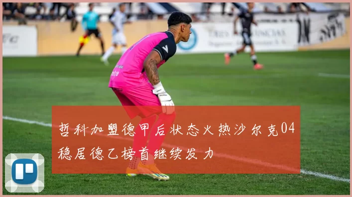 哲科加盟德甲后状态火热沙尔克04稳居德乙榜首继续发力